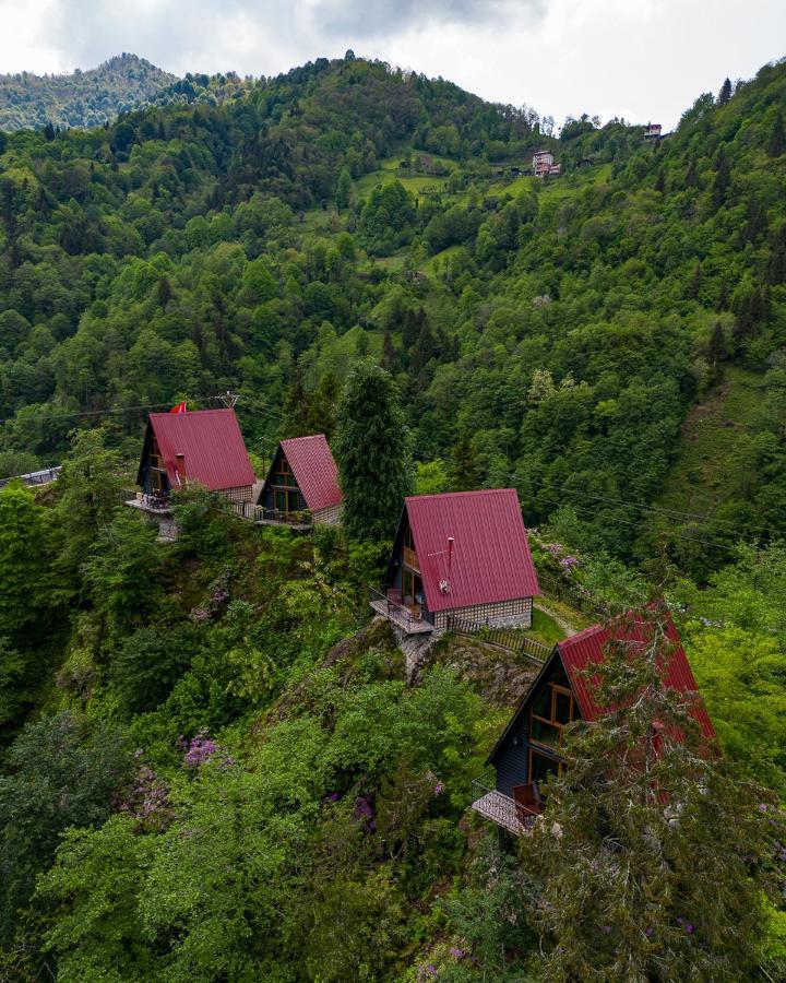 Bungalove Tatil Koeyue Çamlıhemşin المظهر الخارجي الصورة