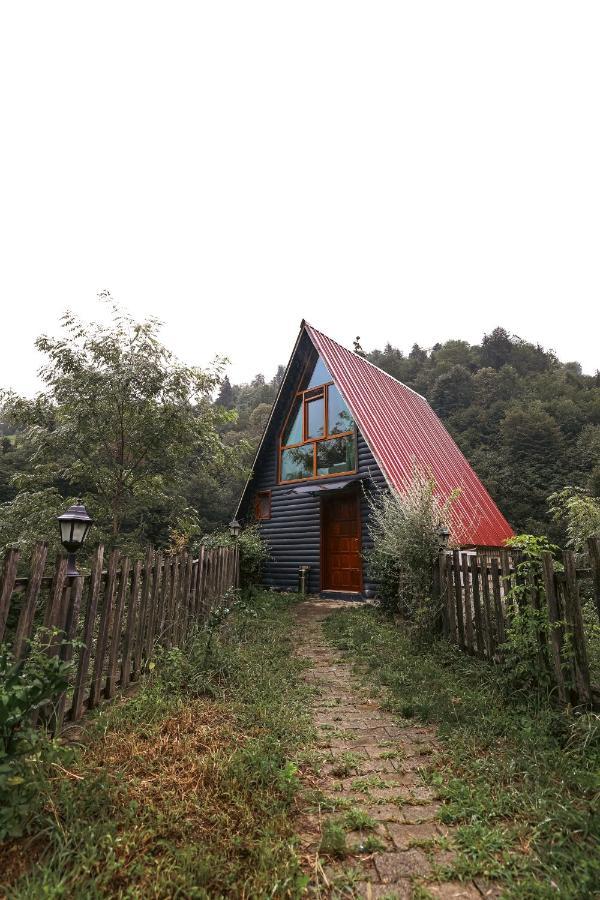 Bungalove Tatil Koeyue Çamlıhemşin المظهر الخارجي الصورة