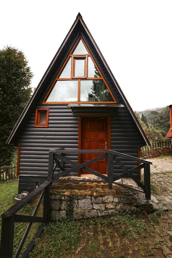 Bungalove Tatil Koeyue Çamlıhemşin المظهر الخارجي الصورة